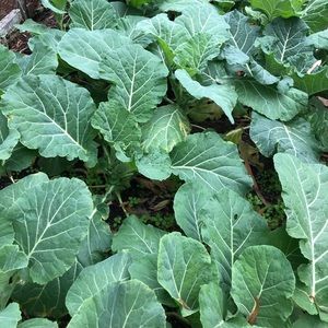 Meet your Posher, Stephen